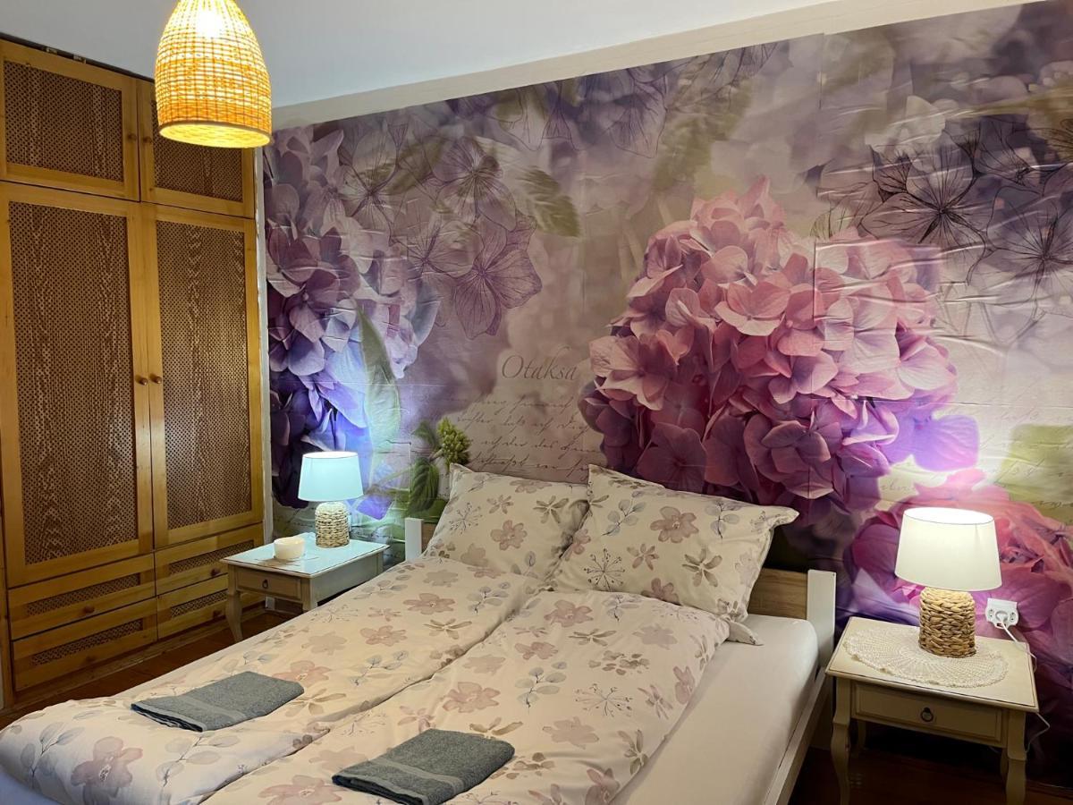 Tulipan Villa Panzio โซลนอค ภายนอก รูปภาพ