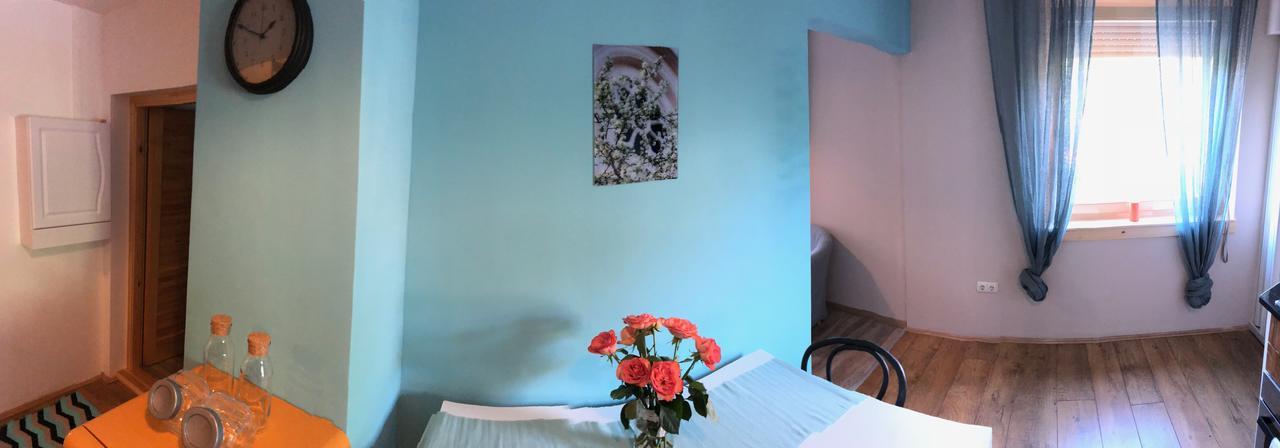 Tulipan Villa Panzio โซลนอค ภายนอก รูปภาพ