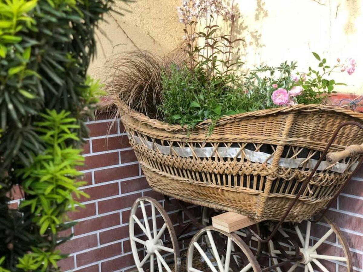 Tulipan Villa Panzio โซลนอค ภายนอก รูปภาพ
